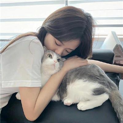 老虎出更