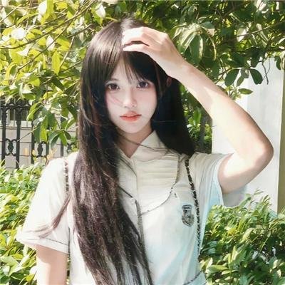莫西干回到故乡
